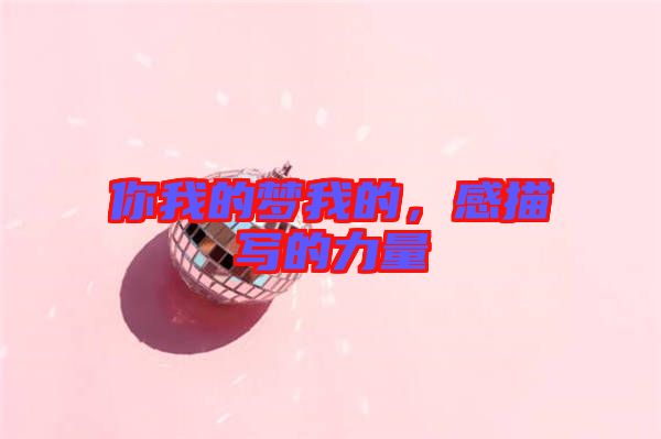 你我的夢我的，感描寫的力量