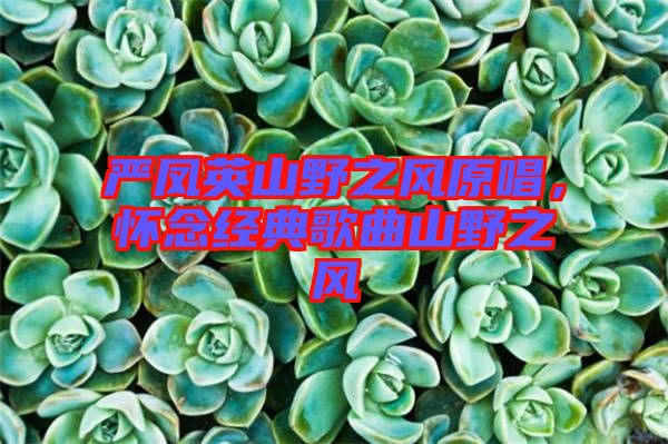 嚴(yán)鳳英山野之風(fēng)原唱，懷念經(jīng)典歌曲山野之風(fēng)