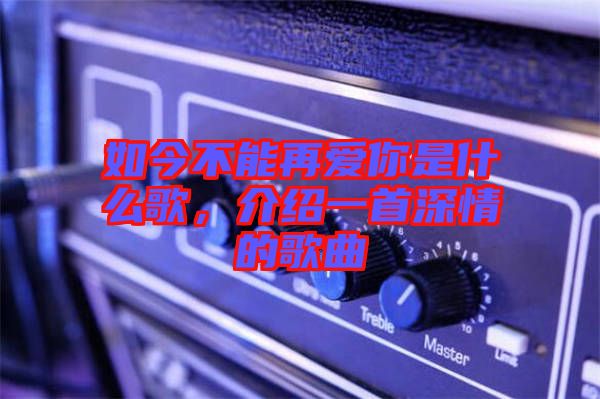 如今不能再愛你是什么歌，介紹一首深情的歌曲