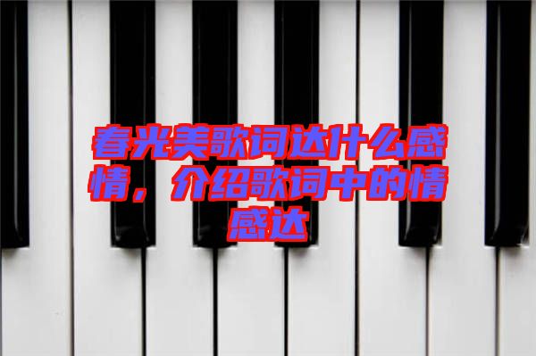 春光美歌詞達(dá)什么感情，介紹歌詞中的情感達(dá)