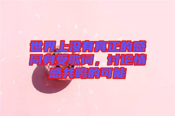 世界上沒(méi)有真正的感同身受歌詞，討論情感共鳴的可能