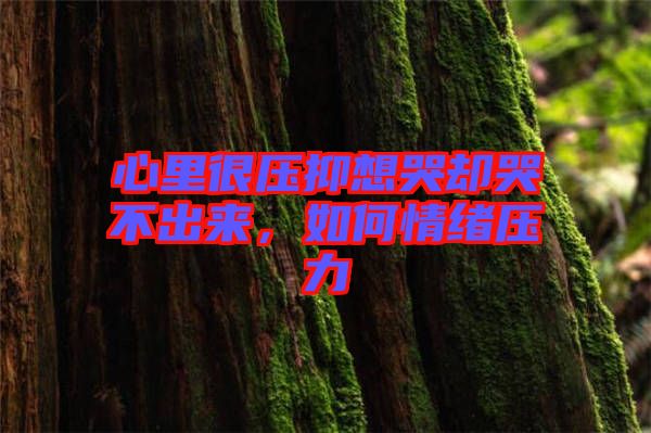 心里很壓抑想哭卻哭不出來，如何情緒壓力