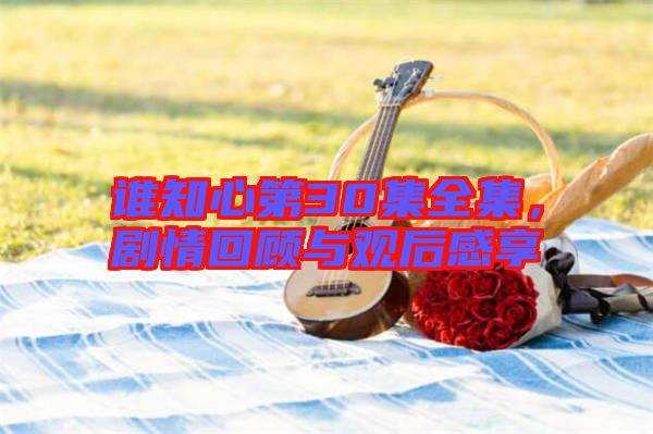 誰知心第30集全集，劇情回顧與觀后感享