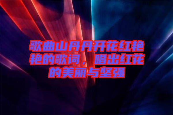歌曲山丹丹開花紅艷艷的歌詞，唱出紅花的美麗與堅強
