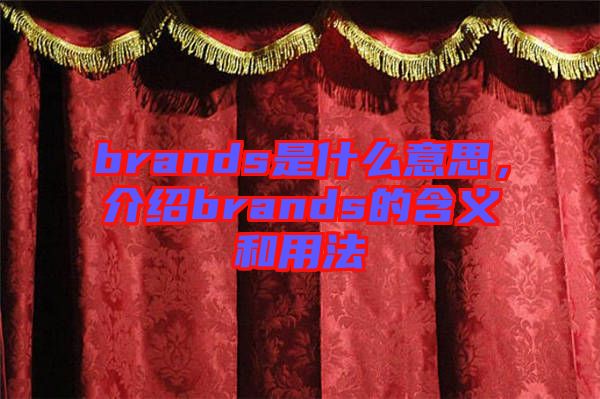 brands是什么意思，介紹brands的含義和用法