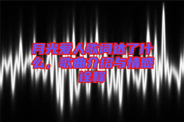 月光愛人歌詞達了什么，歌曲介紹與情感詮釋