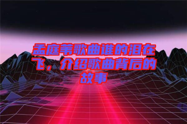 孟庭葦歌曲誰的淚在飛，介紹歌曲背后的故事
