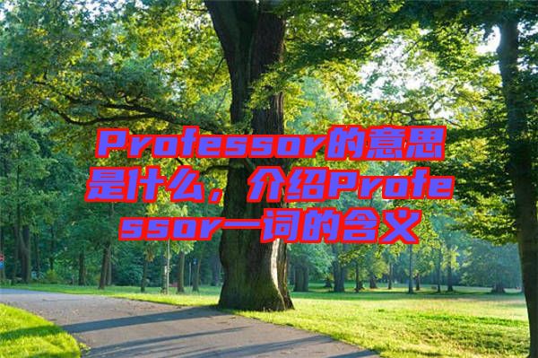 Professor的意思是什么，介紹Professor一詞的含義