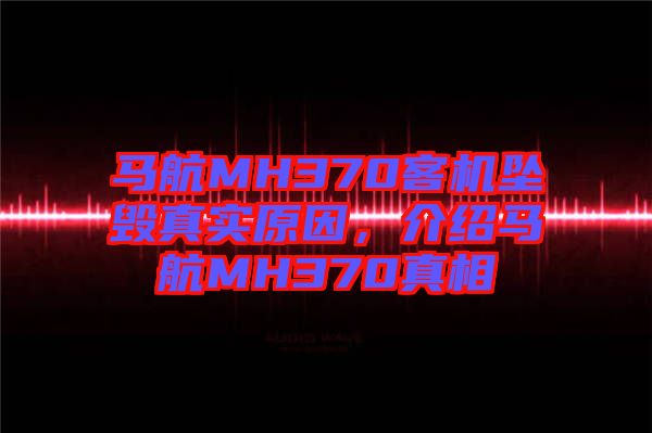 馬航MH370客機墜毀真實原因，介紹馬航MH370真相
