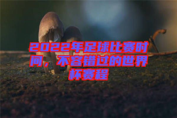 2022年足球比賽時(shí)間，不容錯(cuò)過的世界杯賽程