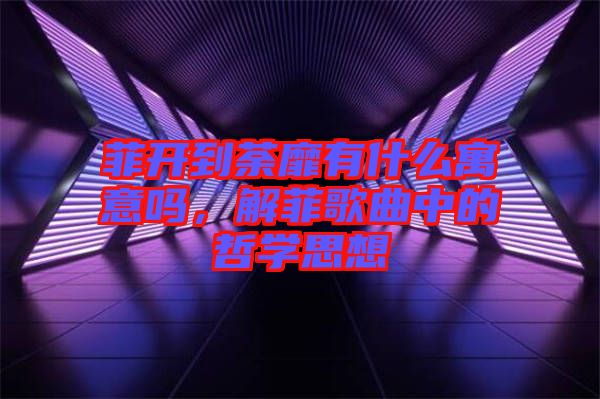 菲開到荼靡有什么寓意嗎，解菲歌曲中的哲學(xué)思想