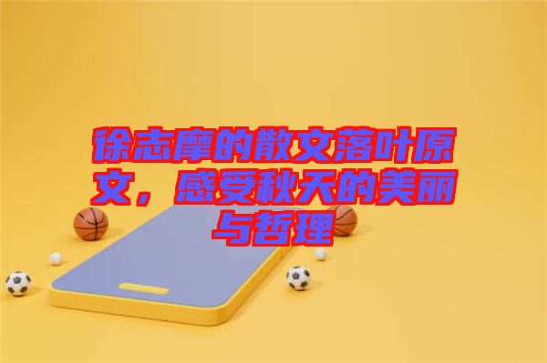 徐志摩的散文落葉原文，感受秋天的美麗與哲理