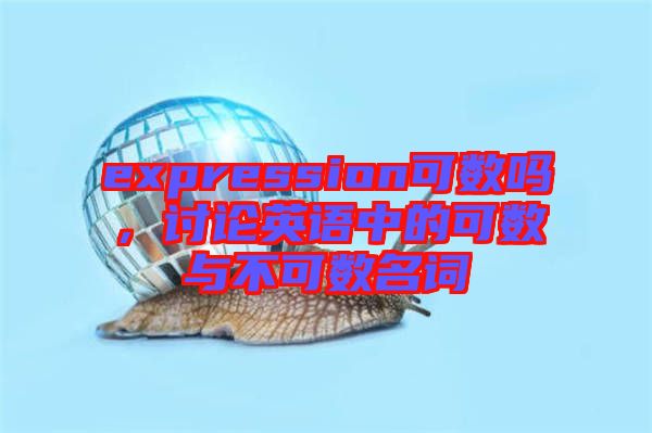expression可數(shù)嗎，討論英語(yǔ)中的可數(shù)與不可數(shù)名詞