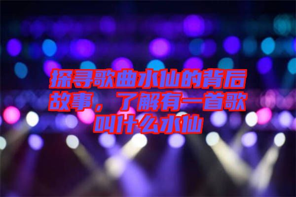 探尋歌曲水仙的背后故事，了解有一首歌叫什么水仙