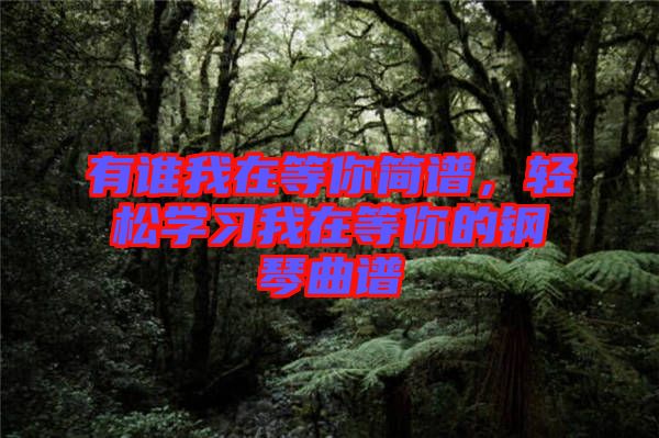 有誰我在等你簡(jiǎn)譜，輕松學(xué)習(xí)我在等你的鋼琴曲譜