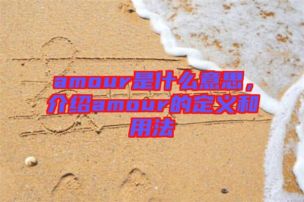 amour是什么意思，介紹amour的定義和用法