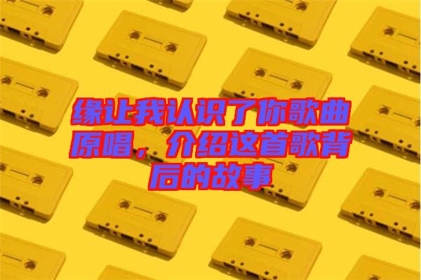 緣讓我認(rèn)識(shí)了你歌曲原唱，介紹這首歌背后的故事