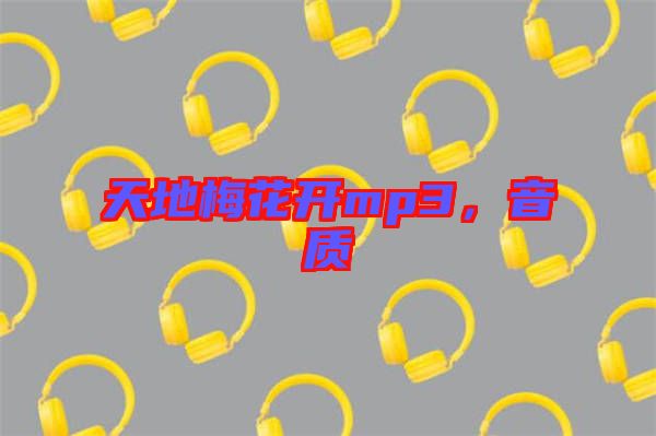 天地梅花開(kāi)mp3，音質(zhì)