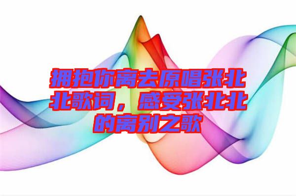 擁抱你離去原唱張北北歌詞，感受張北北的離別之歌