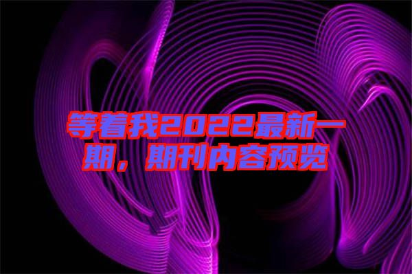 等著我2022最新一期，期刊內(nèi)容預(yù)覽