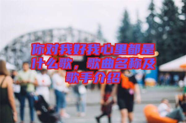 你對我好我心里都是什么歌，歌曲名稱及歌手介紹
