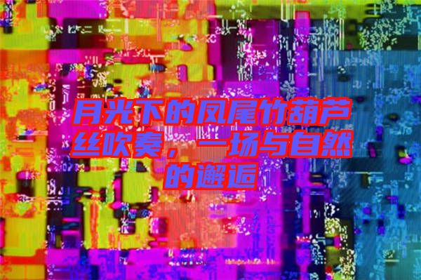 月光下的鳳尾竹葫蘆絲吹奏，一場與自然的邂逅