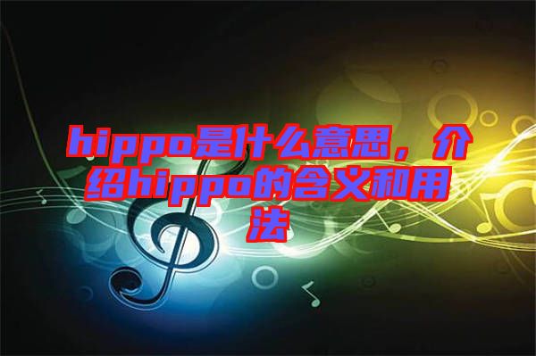 hippo是什么意思，介紹hippo的含義和用法