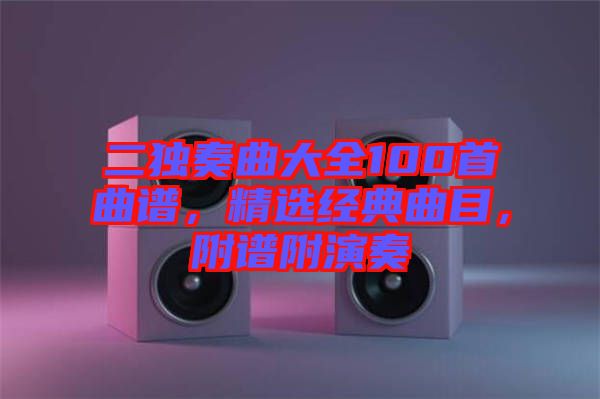 二獨奏曲大全100首曲譜，精選經(jīng)典曲目，附譜附演奏