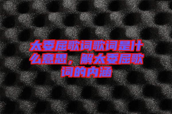 太委屈歌詞歌詞是什么意思，解太委屈歌詞的內(nèi)涵
