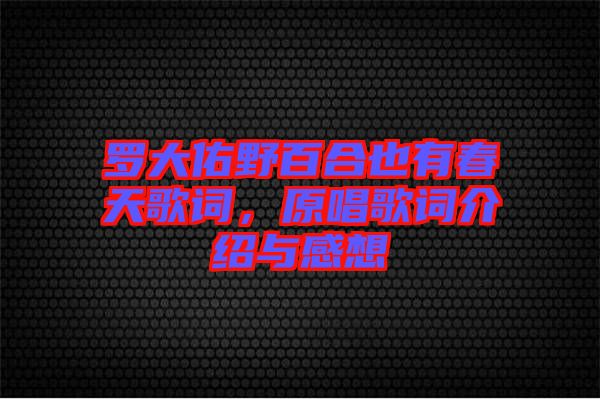 羅大佑野百合也有春天歌詞，原唱歌詞介紹與感想
