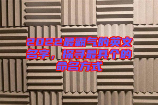 2022最霸氣的英文名字，探尋最具個的命名方式