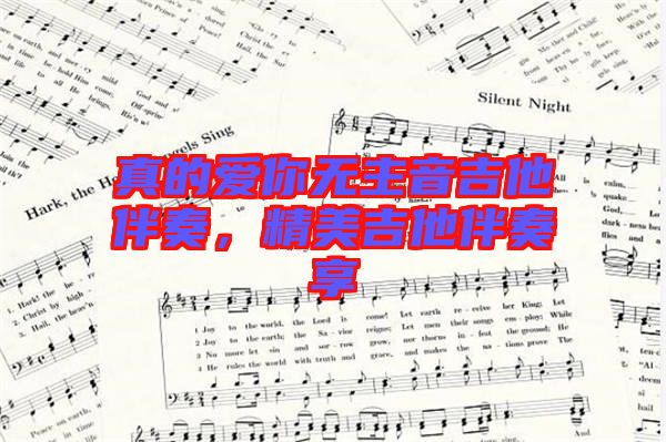 真的愛你無主音吉他伴奏，精美吉他伴奏享
