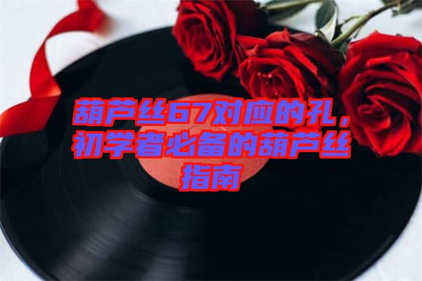 葫蘆絲67對應(yīng)的孔，初學(xué)者必備的葫蘆絲指南