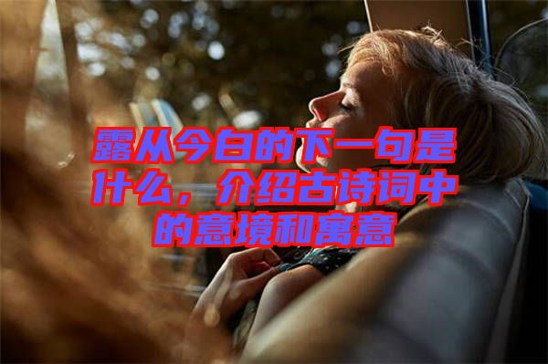 露從今白的下一句是什么，介紹古詩詞中的意境和寓意