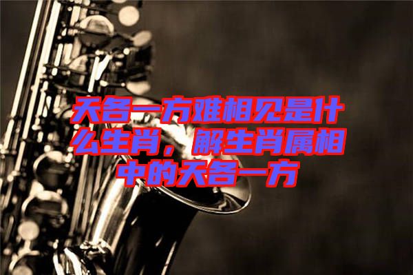 天各一方難相見是什么生肖，解生肖屬相中的天各一方
