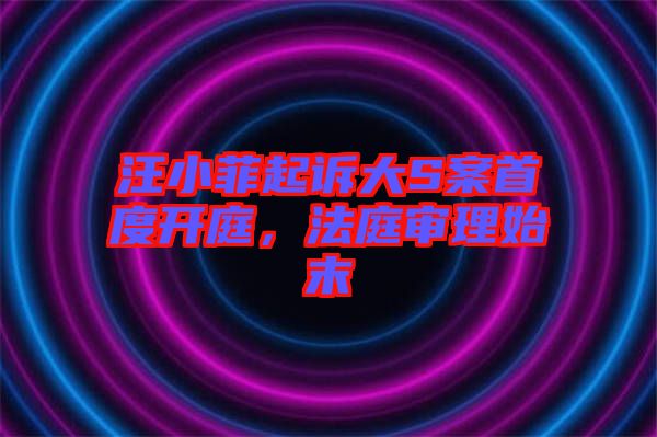 汪小菲起訴大S案首度開庭，法庭審理始末