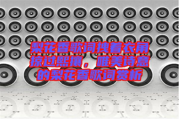 梨花香歌詞拽著衣角掠過熙攘，唯美詩(shī)意的梨花香歌詞賞析