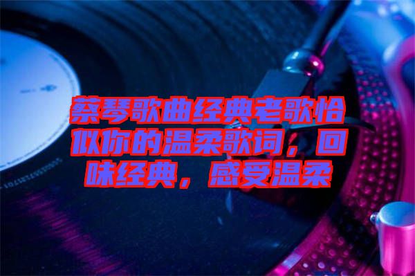蔡琴歌曲經(jīng)典老歌恰似你的溫柔歌詞，回味經(jīng)典，感受溫柔