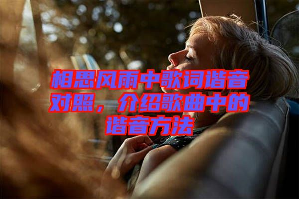相思風雨中歌詞諧音對照，介紹歌曲中的諧音方法