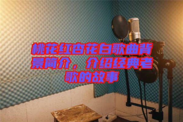 桃花紅杏花白歌曲背景簡介，介紹經典老歌的故事