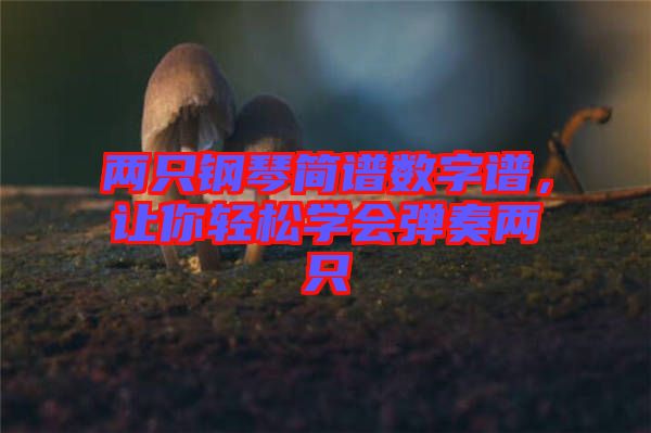 兩只鋼琴簡譜數(shù)字譜，讓你輕松學(xué)會彈奏兩只