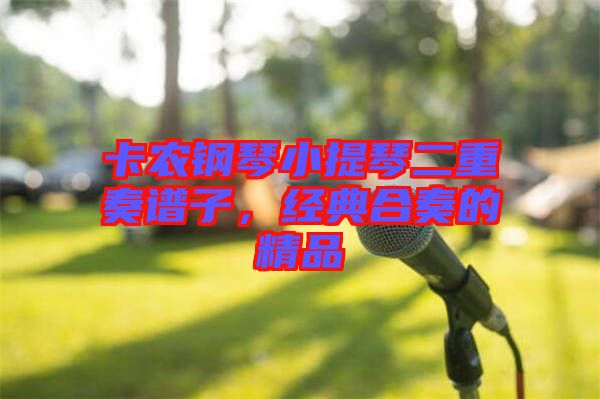 卡農鋼琴小提琴二重奏譜子，經(jīng)典合奏的精品
