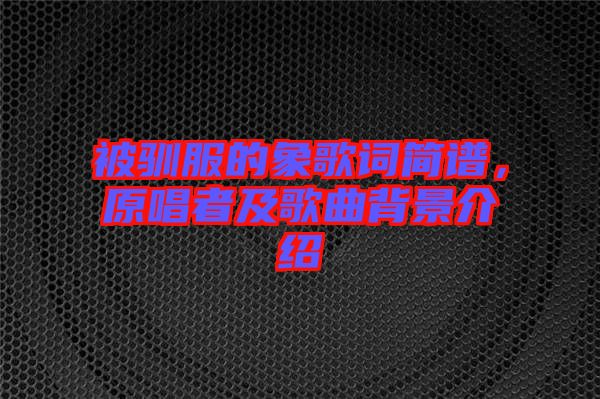 被馴服的象歌詞簡譜，原唱者及歌曲背景介紹
