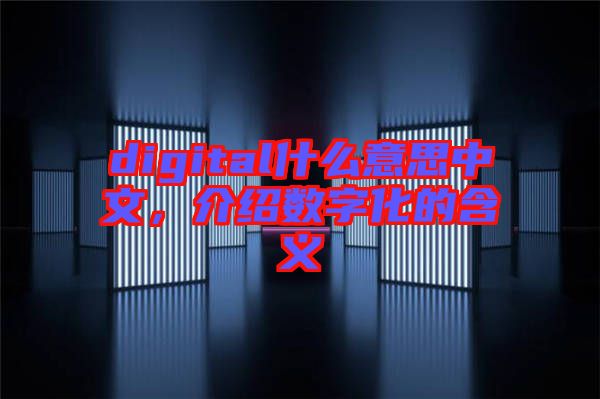 digital什么意思中文，介紹數(shù)字化的含義