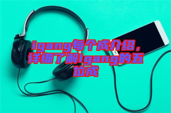 igang每個成介紹，詳細了解igang的五位成