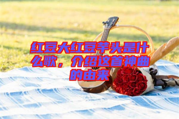 紅豆大紅豆芋頭是什么歌，介紹這首神曲的由來(lái)