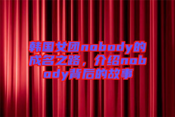 韓國女團(tuán)nobody的成名之路，介紹nobody背后的故事