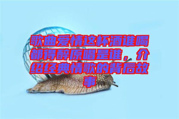 歌曲愛(ài)情這杯酒誰(shuí)喝都得醉原唱是誰(shuí)，介紹經(jīng)典情歌的背后故事