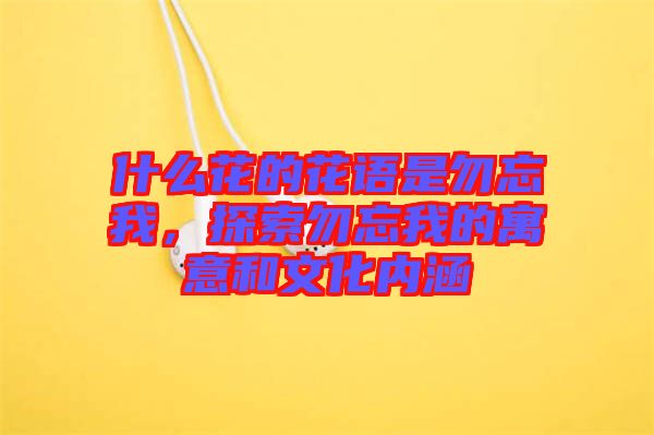 什么花的花語(yǔ)是勿忘我，探索勿忘我的寓意和文化內(nèi)涵