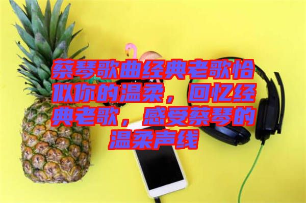 蔡琴歌曲經(jīng)典老歌恰似你的溫柔，回憶經(jīng)典老歌，感受蔡琴的溫柔聲線